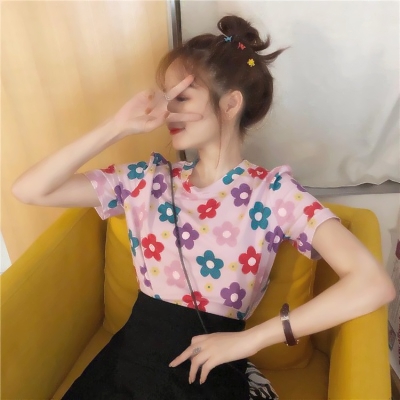 卡牌暴龙兽草鞋版下载